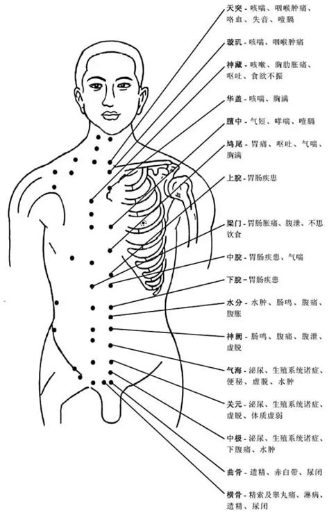 人身穴位圖|最全经络和穴位高清动图（附103个疾病对应特效穴）